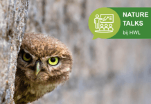 Nature Talk: Vogelverhalen