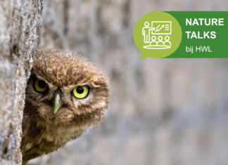 Nature Talk: Vogelverhalen