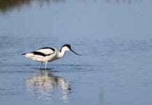 Excursie ‘Horen is Scoren” op zondag 14 juni