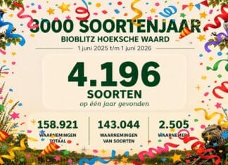 Hoeksche Waard telt ruim 4.000 soorten dankzij 2.400 burgerwetenschappers