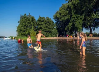 Negatief zwemadvies voor strandjes Mijnsheerenland en Westmaas in de Hoeksche Waard vanwege blauwalgen
