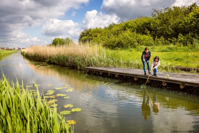 Waterschap Hollandse Delta sluit 2025 positief af en zet koers richting grote investeringen voor de toekomst
