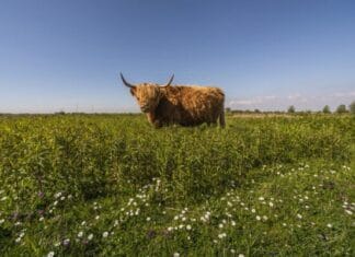 Ga op ontdekkingstocht op Tiengemeten: excursies voor jong en oud