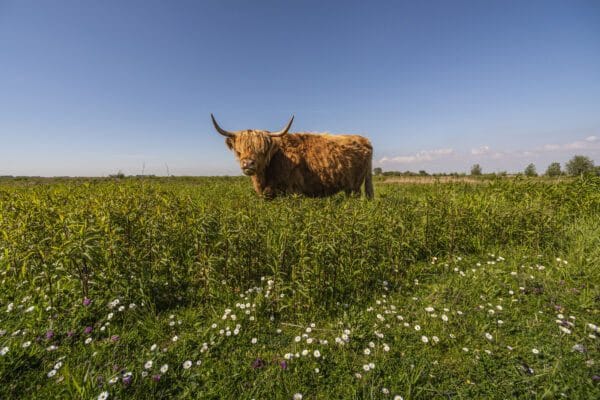 Ga op ontdekkingstocht op Tiengemeten: excursies voor jong en oud