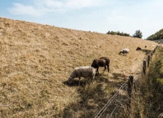 Waterschap roept op zuinig om te gaan met water