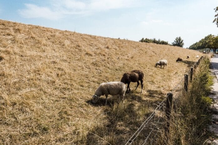 Waterschap roept op zuinig om te gaan met water