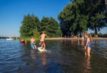 Waarschuwing voor blauwalg bij strandjes aan de Binnenbedijkte Maas in Westmaas en Mijnsheerenland