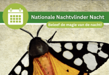Beleef de magie van de nachtvlinders op 17 juli bij NBC Klein Profijt