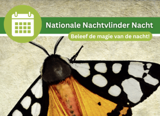 Beleef de magie van de nachtvlinders op 17 juli bij NBC Klein Profijt