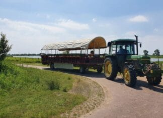 Zomeractiviteiten op Tiengemeten: bekijk de agenda