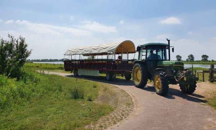 Zomeractiviteiten op Tiengemeten: bekijk de agenda
